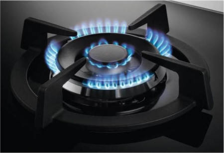 Варочная поверхность Zanussi GPZ 363 LK