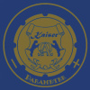 Варочная поверхность Kaiser KCT 6723 FI